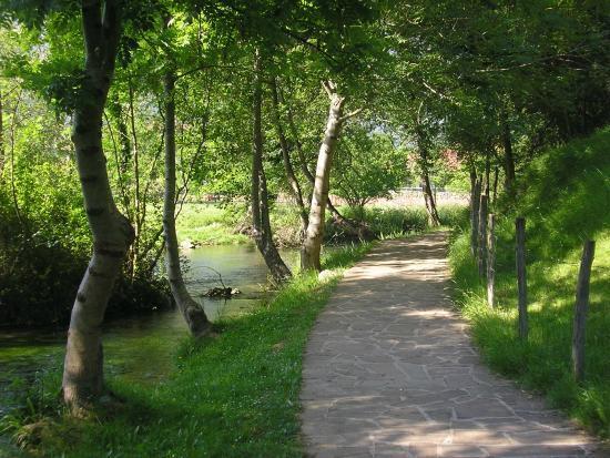 Posada Rural La Flor Del Nogal Ruente Екстер'єр фото